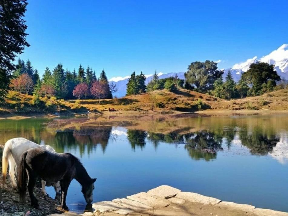 Moon Hotel Tungnath Ukhimath Exterior photo